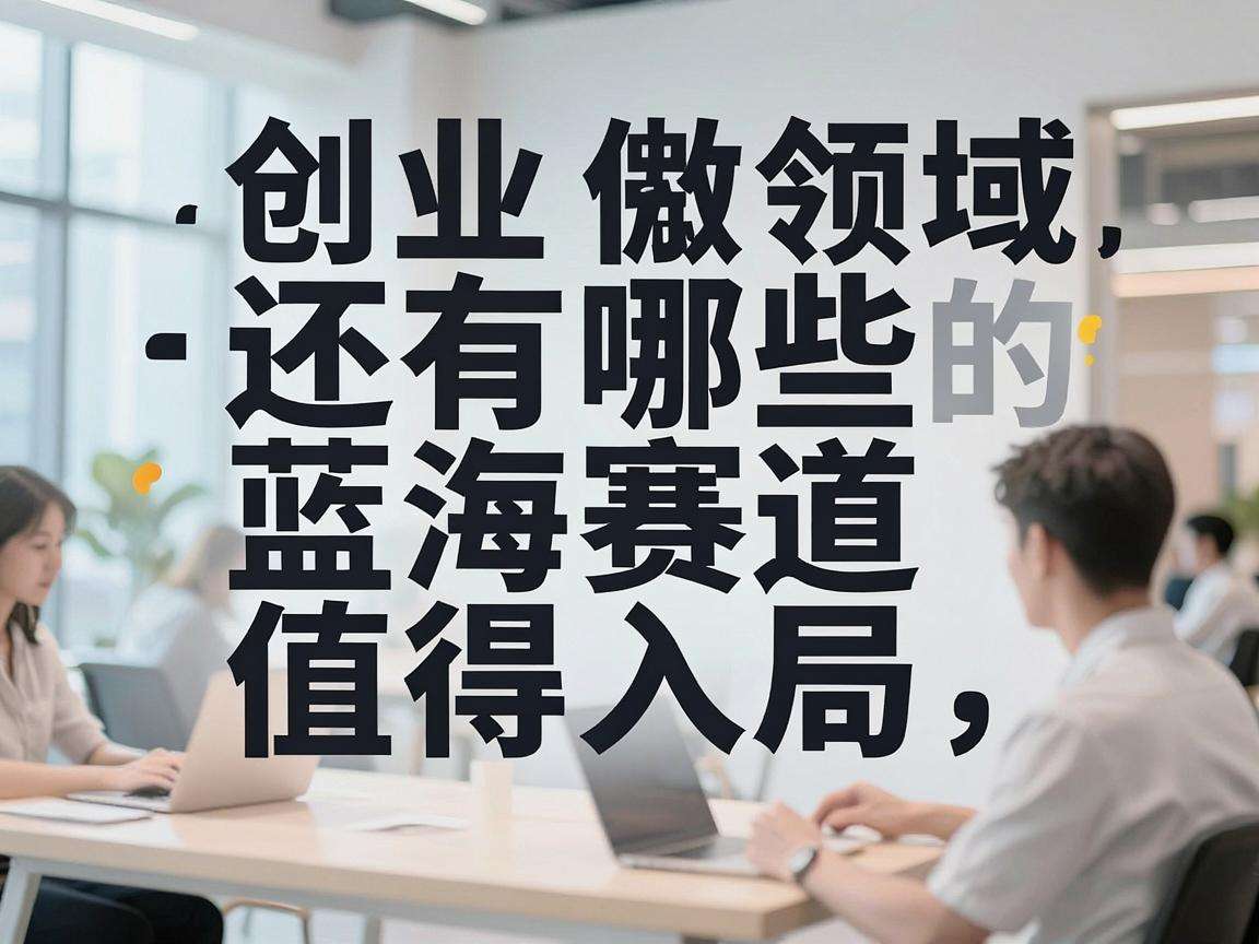 小众互联网创业领域还有哪些低门槛的蓝海赛道值得入局