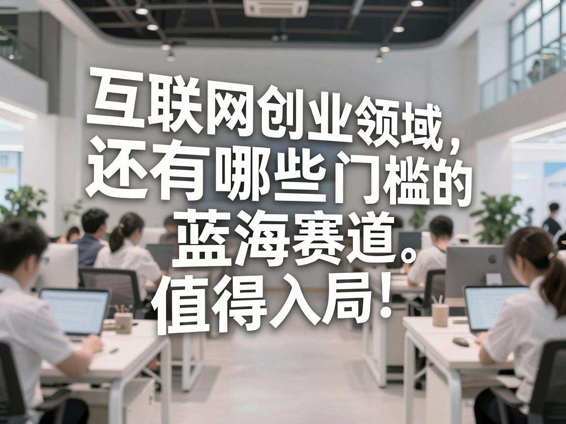 小众互联网创业领域还有哪些低门槛的蓝海赛道值得入局