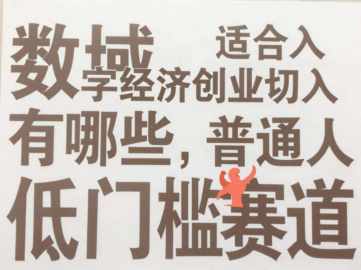 县域数字经济创业有哪些适合普通人切入的低门槛赛道