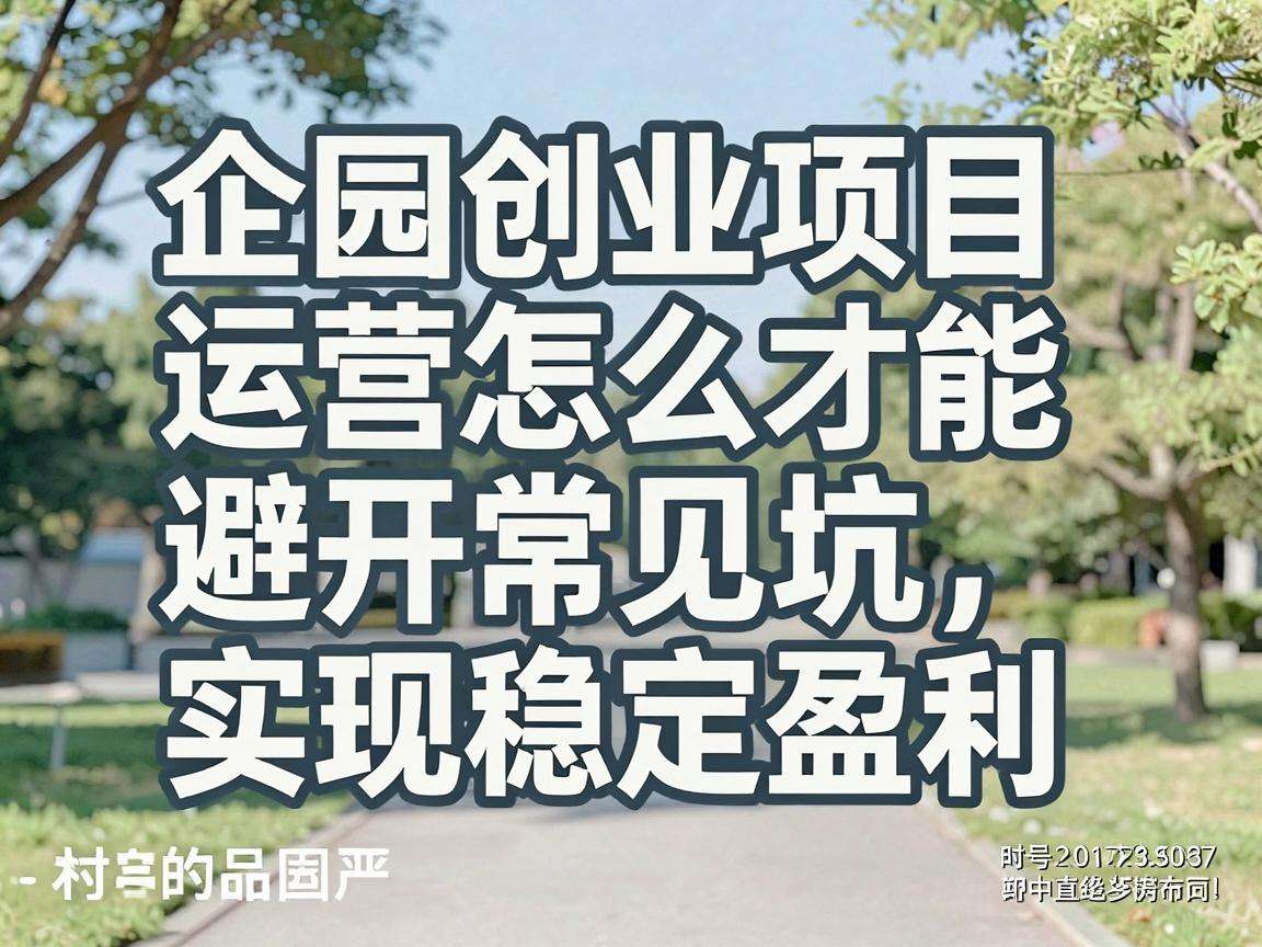 校园创业项目运营怎么才能避开常见坑实现稳定盈利